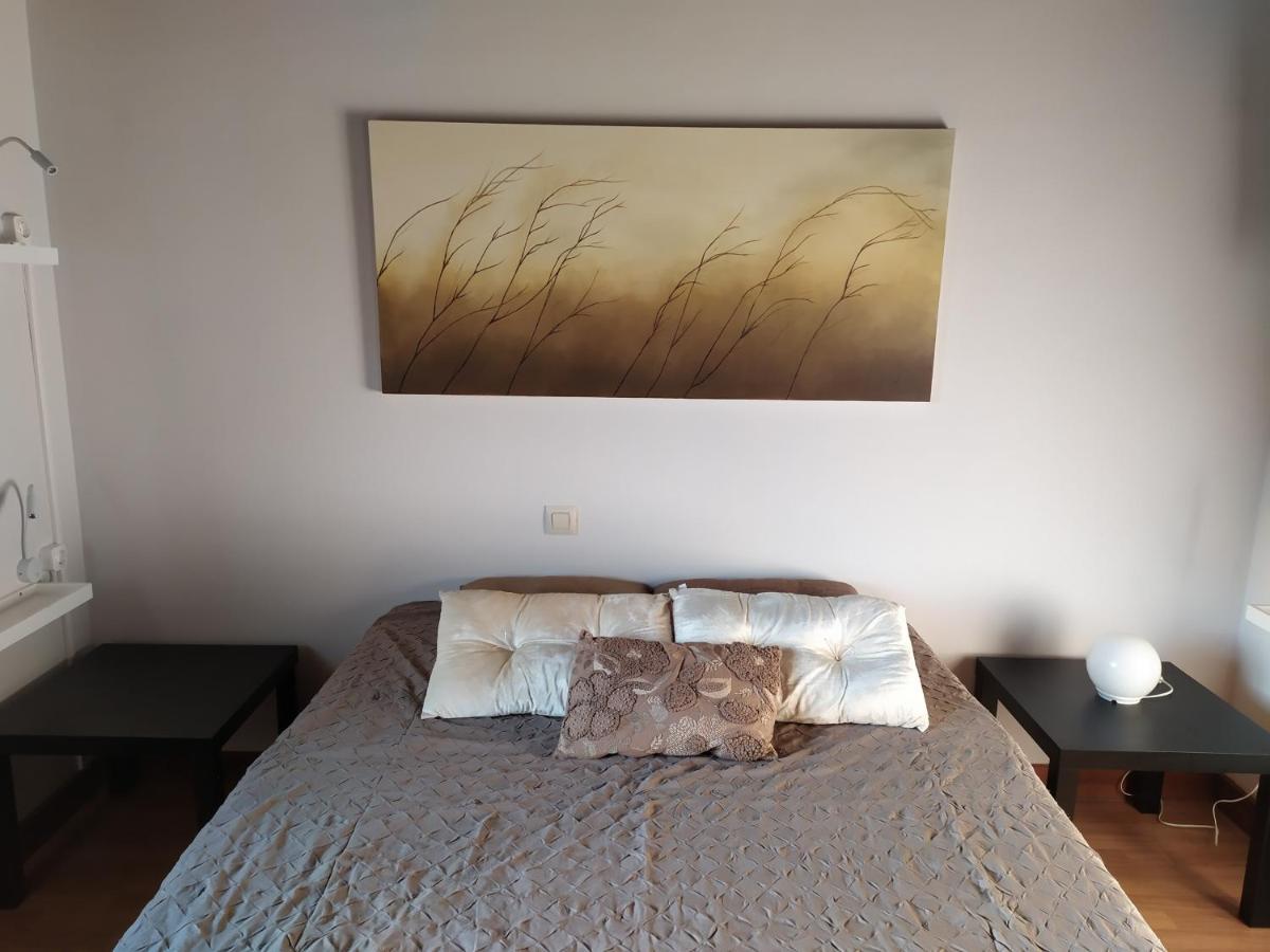 帕德隆 Camino Da Vieira旅舍 外观 照片